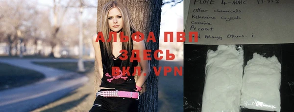 спиды Бородино