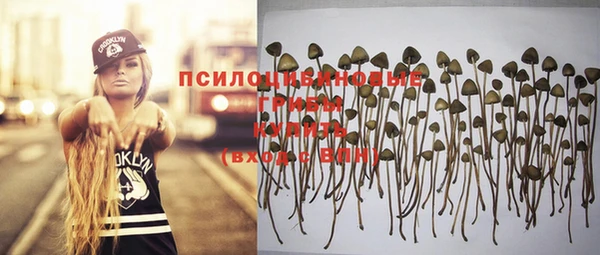 кокаин Богородицк