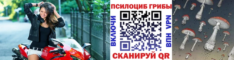 Купить где Суоярви Галлюциногенные грибы Cubensis